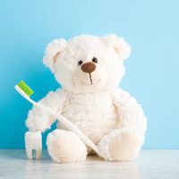 Ein wei&szlig;er, flauschiger Stoffb&auml;r h&auml;lt eine Zahnb&uuml;rste und sitzt neben einem Modell eines Zahns.